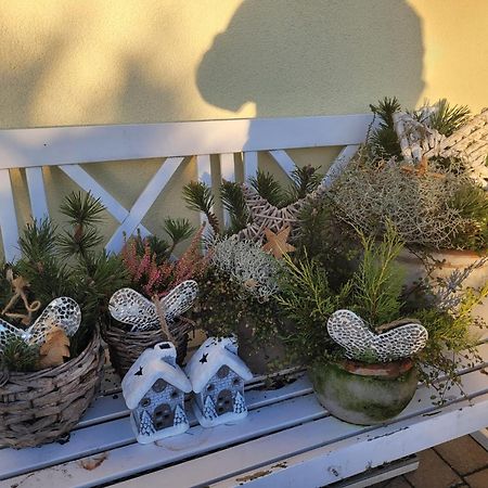 Ferienwohnung Ott アメリングハウゼン エクステリア 写真